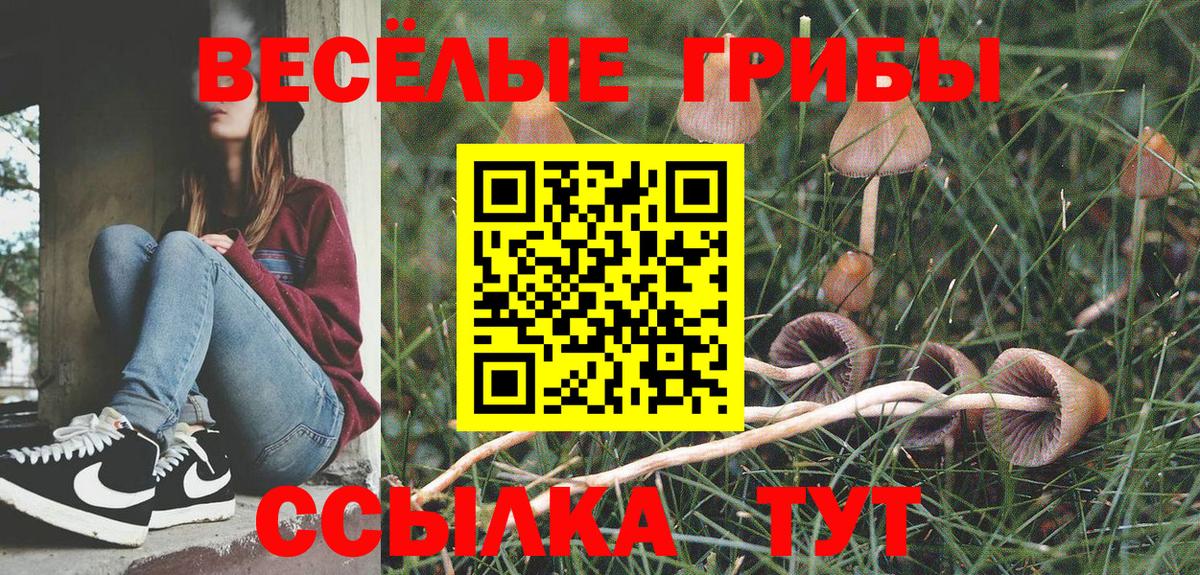 Псилоцибиновые грибы Psilocybine cubensis Ирбит